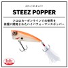 Daiwa Tea Popper 60F RW Lure, Black