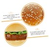 Kisangel 2pcs Realistic Simulation Burger Model Artificial Bread for Boys