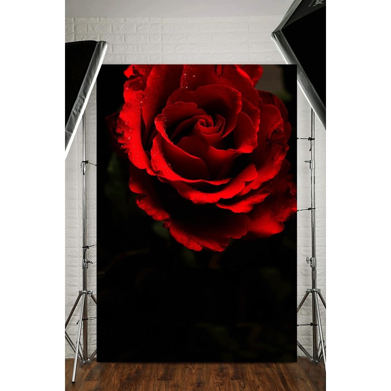 Generic Black Red Rose Texture Backdrop Red Flowers Abstract Portrait