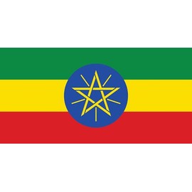 GLOBAL ADVERTISING SOLUTIONS 3x5 Country National Flag Made in USA Bright Colors Long Lasting and Weather Resistance Country State Flag only Without Pole kit and Mount (Ethiopia Flag (star) New)