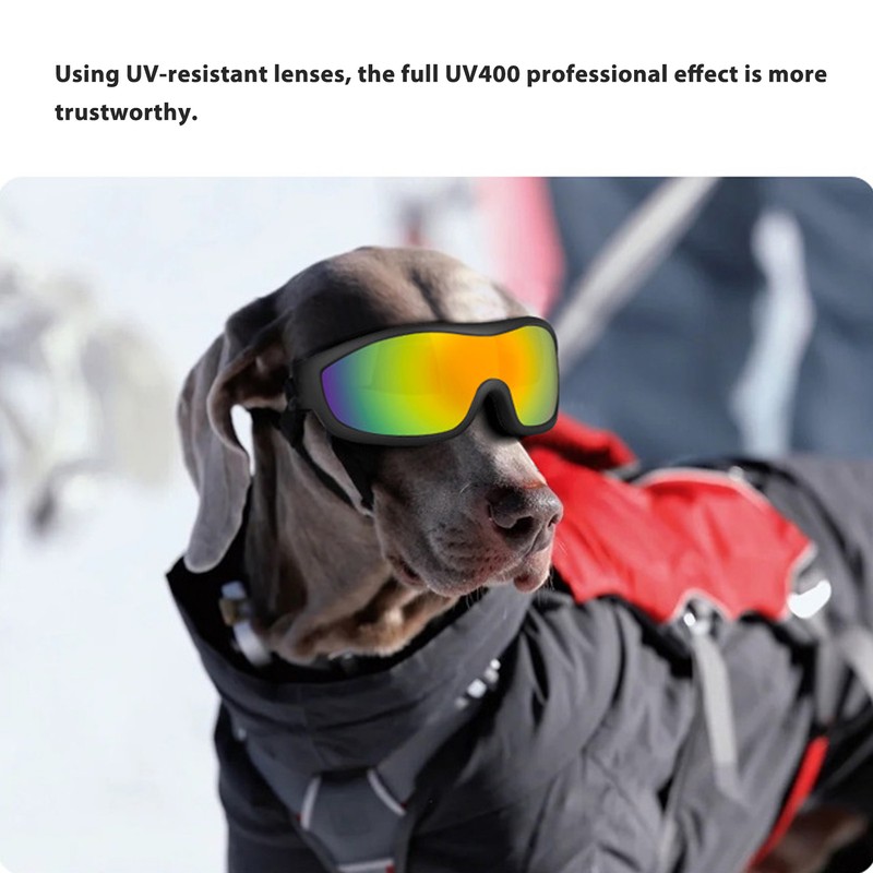Dog Sunglasses Goggles UV Wind Dust Protection Pet Glasses Eye