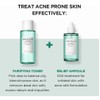 Serum Antiacné Tea-trica Relief 2025 Skin1004 Ampolla, 100 M