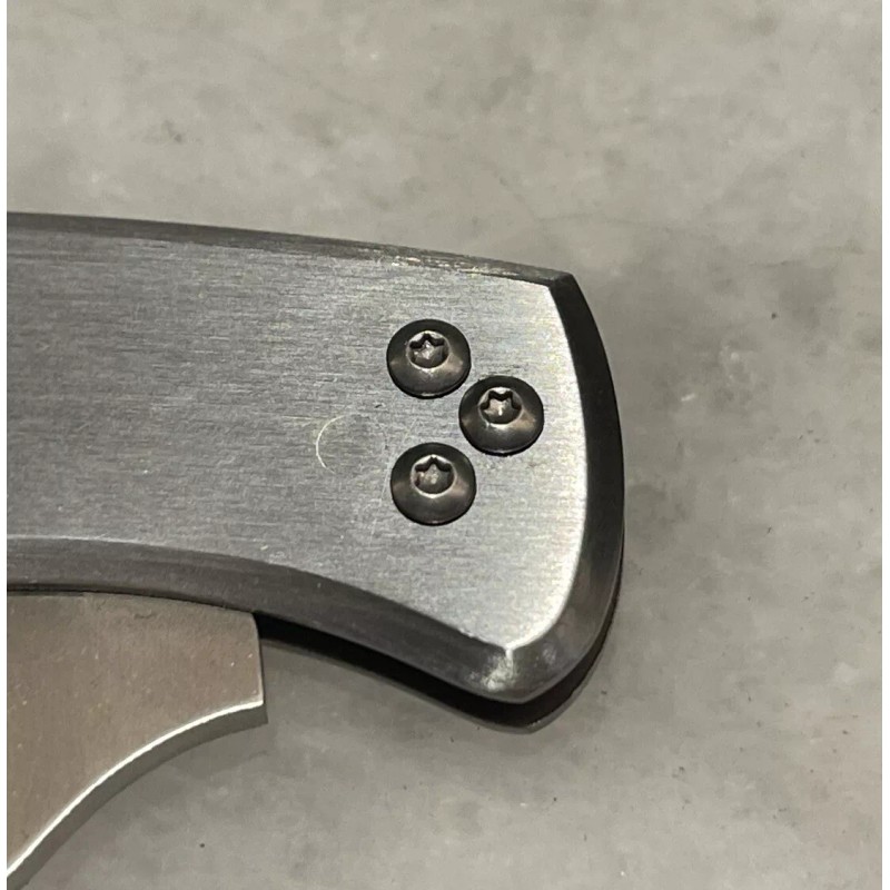 DH Stainless Screws to Plug Spyderco Police C07 Delica 4