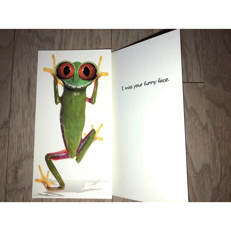 Twisted Whiskers Greeting Card w/ Envelope