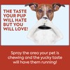 OUT! PetCare No Chew Bitter Cherry Flavor Deterrent, Puppy Training,