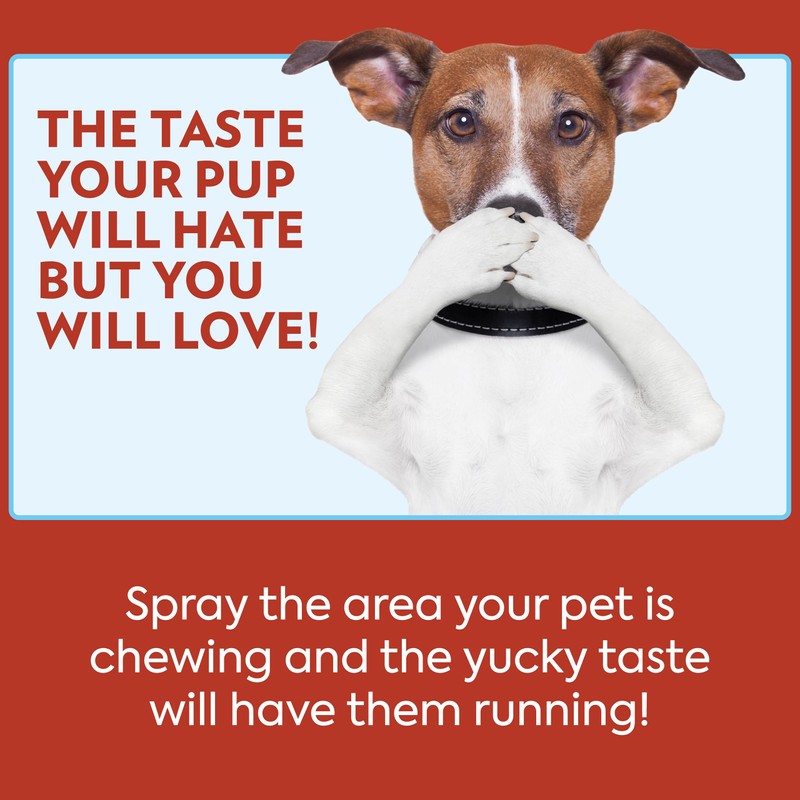 OUT! PetCare No Chew Bitter Cherry Flavor Deterrent, Puppy Training,