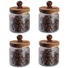 MQMCPDS Vintage Glass Jars with Airtight Wood Lids & Handles