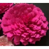 Unbranded Paper Flowers 3-D Handcrafted 5 pcs Pink DIY Wedding