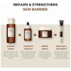 Skin1004 Madagascar Centella Probio Cica Sun Ampoule 50ml