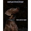 Kaka Mall Adjustable, Breathable, Reflective Nylon Dog Collar