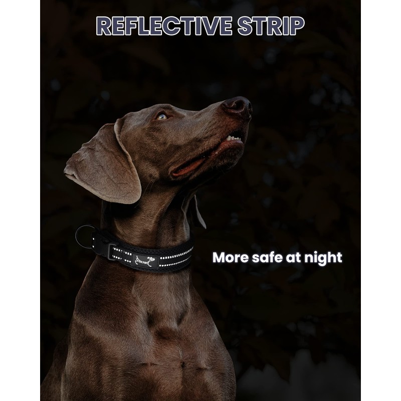 Kaka Mall Adjustable, Breathable, Reflective Nylon Dog Collar
