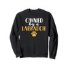 Lab Retriever owned by a Labrador Sweatshirt