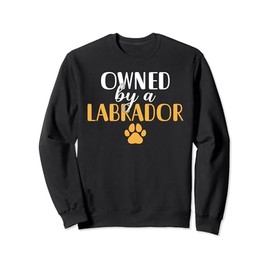 Lab Retriever owned by a Labrador Sweatshirt