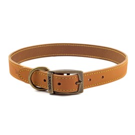 Ancol Timberwolf Premium Leather Dog Collar - Comfortable Durable Pet Training Accessory - Mustard Bridle Leather - Soft Supple Waterproof Treated - 45-54cm Size 6