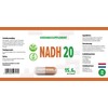 Hepatica Hepatica NADH 20mg | 60 Vegan Capsules | High