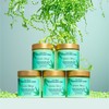 Care Bear Glättendes Körperpeeling 350 g, Тotes Мeersalz Peeling, intensiv