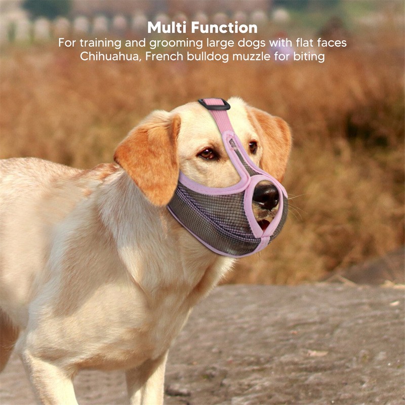 Short Snout Dog Muzzle Adjustable Breathable Prevent Biting Chewing Dog