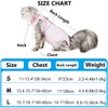 Cat Surgery Recovery Suit for Abdominal Wounds or Skin Diseases,