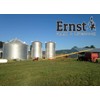 Ernst Grain Black Oil Sunflowers, Non-GMO