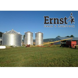 Ernst Grain Black Oil Sunflowers, Non-GMO