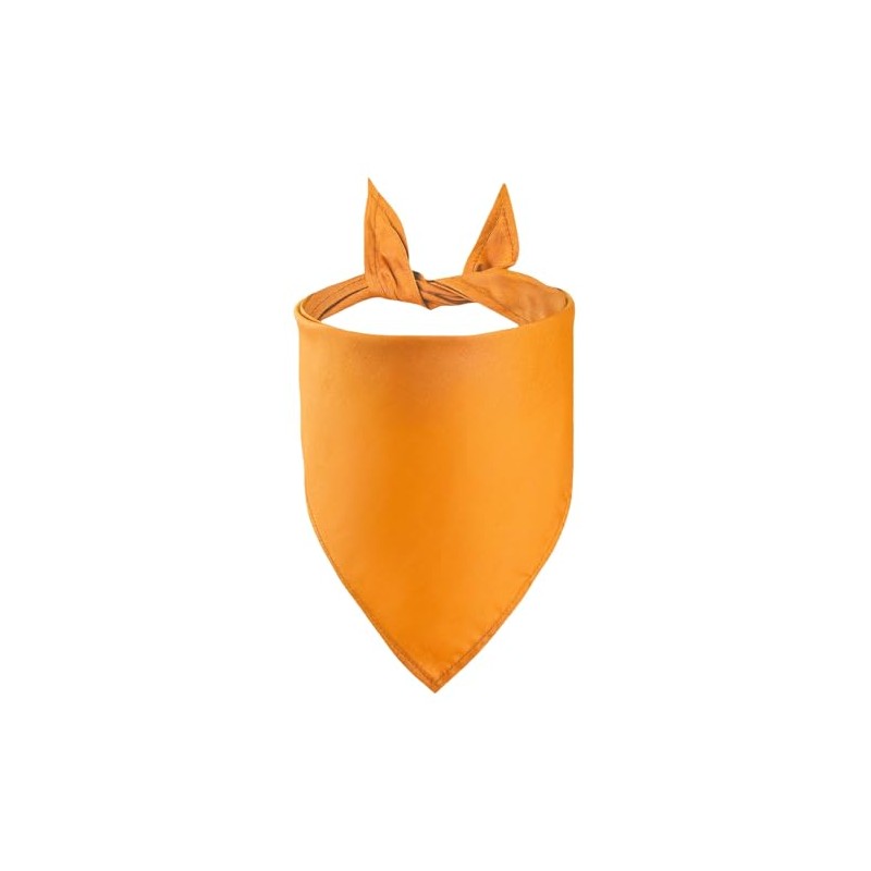 Petitebelle Single Color Pet Bandana (Orange, Large)