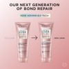 LOreal Paris EverPure Bonding Kit de champú y acondicionador para