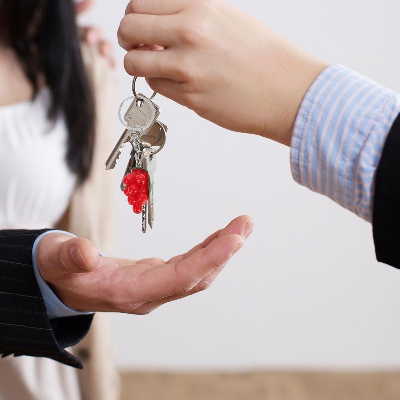 TENDYCOCO Cute Small 10 Piece Fruit Key Chain Key Ring