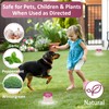 12 Pack Snake Repellent for Yard Powerful Snake Away Repellent