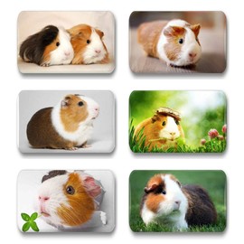 Merchandise for Fans Guinea Pig Fridge Magnets Rectangular 7 x 4.5 cm 01 for Memo Board Notice Board Magnetic Whiteboard Pack of 6