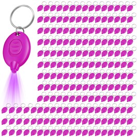VIHOSE 200 Pcs UV Keychain Light 395nm Mini UV Keychain Flashlight Bulk Portable Tiny LED Light for Stain Detection & Scorpion Finder, Battery Included