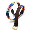AAProTools Leather Multi Polo Belt Multi Coloured 42" BLT-09