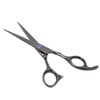 6 Inch Hair Cutting Scissors Stainless Steel Professional Shears Salon