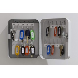 ARREGUI PLL20 Key Cabinet | Key Cabinet | Key Box Made of Lacquered Steel, Lockable with 20 Hooks and Key Lock, Includes 20 Labelable Key Chains, 20 x 16 x 6 cm, Light Grey