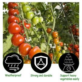 Aulock 20 Pcs Tomato Support Hooks, Tomato Climbing Hooks with 39ft Twine 40pcs Tomato Clips, Plant Climbing J Hooks, Durable Garden Hooks Support Tool for Vegetable Plant Fruit Flower