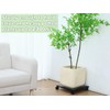 2 Packs 12" Metal Square Plant Caddy with Wheels Large