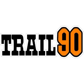 Honda CT90 1974 K5  Trail 90 Airbox Decal, Trail 90 Sticker, Graphics  Orange 90