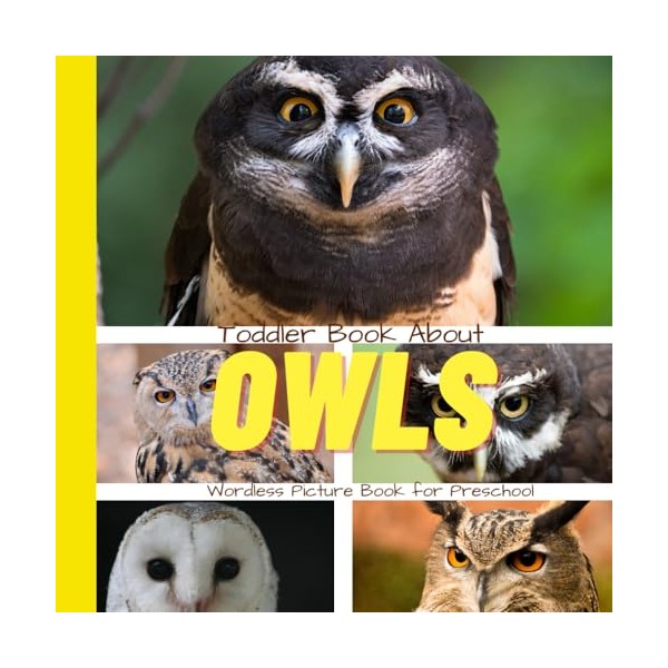 Toddler Book About Owls: A Picture Book for Preschoolers (Wordless