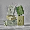 Dr. Tree Set of solid shampoo + conditioner organic frequent