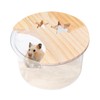 Hamster Bathroom, Hamster Toilet, Hamster Bathtub, Hamster Bathroom, Small Animal