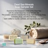 Dead Sea Mineral Soap Bar | Variety Pack | Enriched