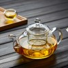 DOPUDO Glass Teapot with Removable Clear Infuser, 27 oz/ 800
