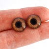 Brown Griffon Bird Glass Eyes Realistic Foul Animal Pair for