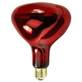 (4 Pack) 250 WATT BR40 RED Heat LAMP SHATTERPROOF Light Bulb RED Glass 5,000 Hours Supra Life Heat LAMP Shatter Resistant