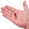 Berkley Powerbait Pre-Rigged Atomic Teasers Fishing Soft Bait, Caramel Apple,
