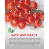 SousVideTools SVT-07001 28cm x 6m Vacuum Sealer Rolls (Pack of