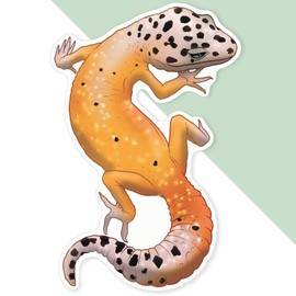 Extra Large 460mm 'Leopard Gecko' Permanent Sticker Decal for Cars/Windows/Bins/Walls (DW00138575)