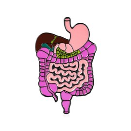 MEDFOLY Digestive System Enamel Pin, Medical Anatomy Brooch Badge, Pink and Purple Intestine Design, Doctor Nurse Gift