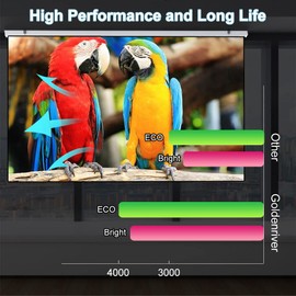 GOLDENRIVER SP LAMP 099 Projector Lamp with Housing Compatible with InFocus INV30 (v30) Projector