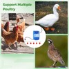 Complete Poultry Watering Kit, Chicken Water Cup System with PVC