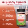 aSquared Nutrition aSquared Nutrition Mushroom Gummies - 10x Complex Supplement
